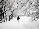 Yoğun kar yağışı altında her sabah işe yetişmek Kievlilerin oldukça alışık olduğu bir durum.