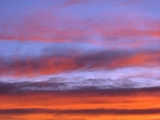 img0061