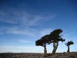 img_0039_resize