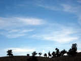 img_0042_resize