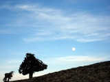 img_0043_resize