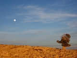 img_0045_resize