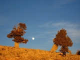 img_0046_resize