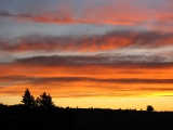 img_0056_resize
