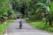 Bohol
