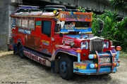 Renkli Jeepney araçları toplu taşımanın bel kemiği