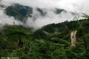 Banaue