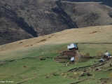 Yayla manzaraları.
